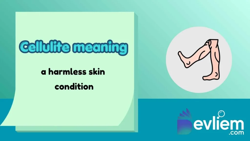 cellulite meaning
