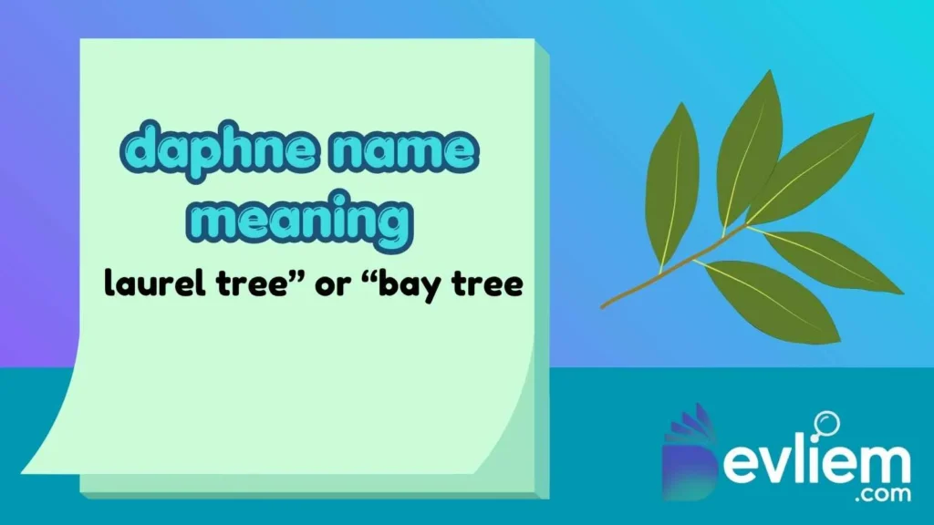 daphne name meaning