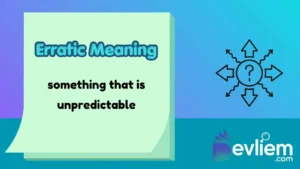 Erratic Meaning