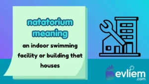 natatorium meaning