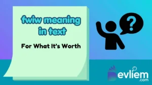 fwiw meaning in text