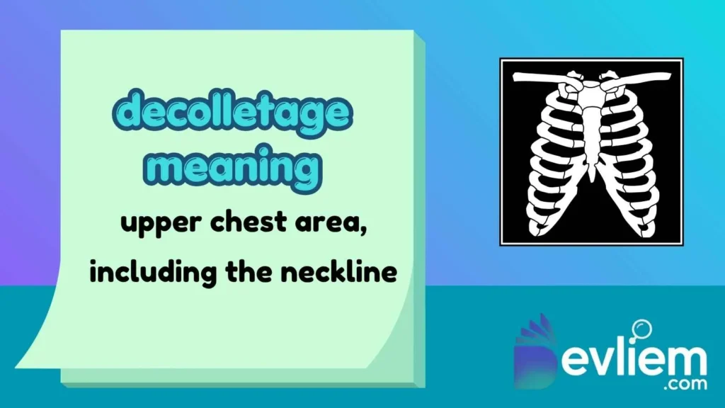 decolletage meaning