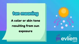 tan meaning
