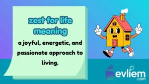 zest for life meaning