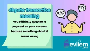 dispute transaction meaning