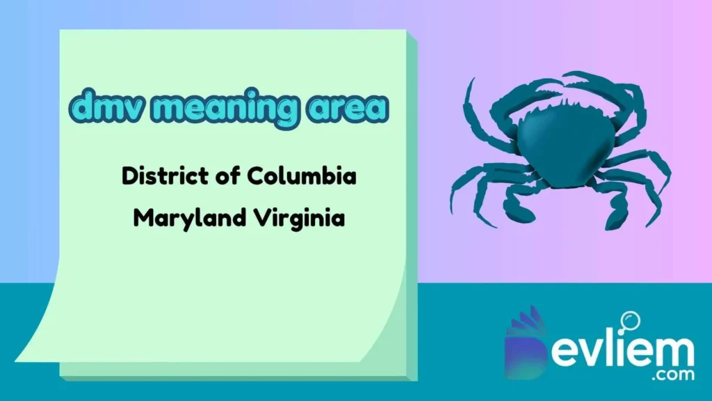 dmv meaning area
