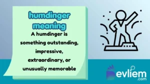 humdinger meaning