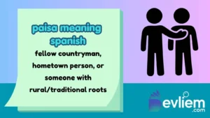 paisa meaning spanish
