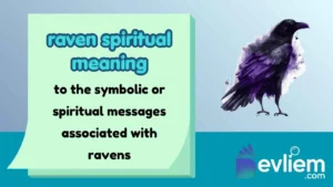 raven spiritual meaning