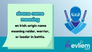 sloane name meaning