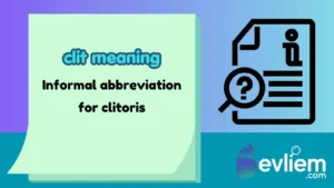 clit meaning