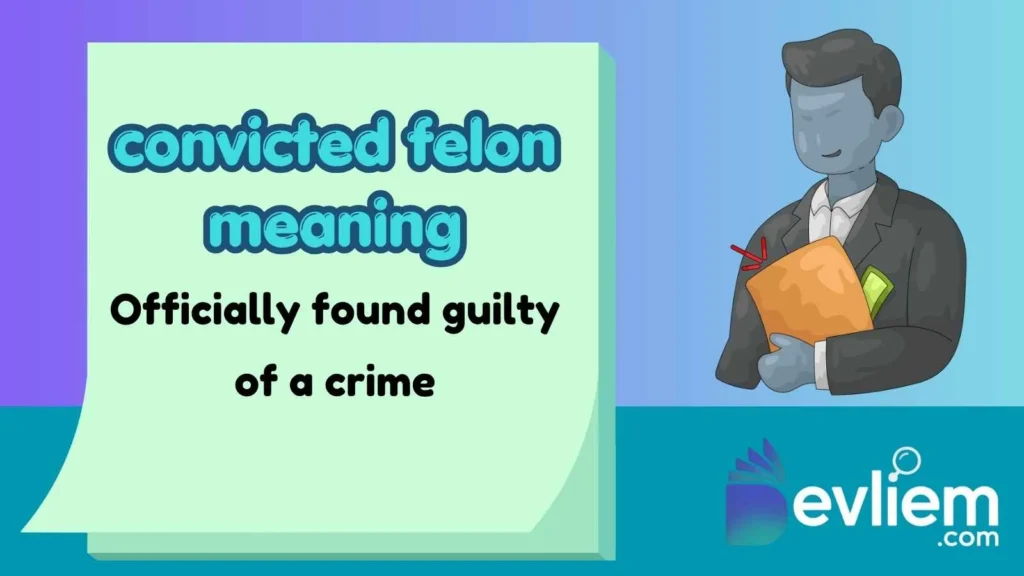 convicted felon meaning