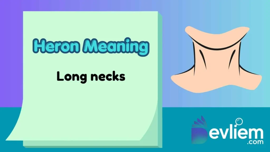 Heron Meaning
