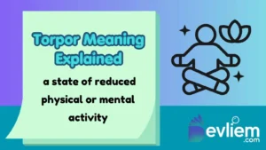 Torpor Meaning