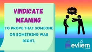 Vindicate Meaning